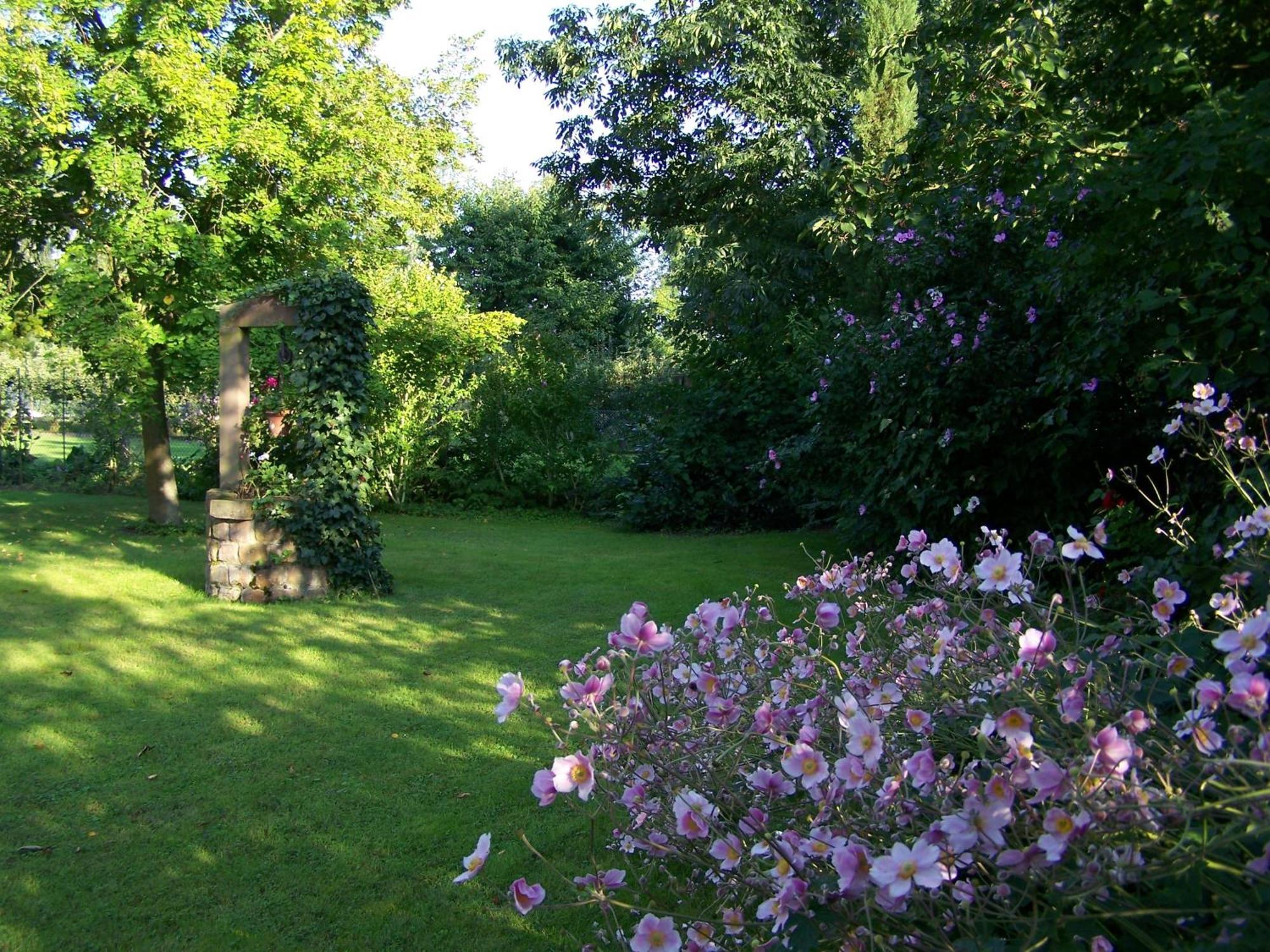 Badische Landoase Aparthotel Kehl ภายนอก รูปภาพ